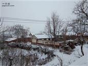 山东省,烟台市,招远市,夏甸镇,东宅科村