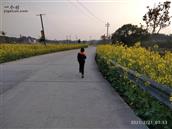 湖南省,株洲市,茶陵县,马江镇,浪滩村