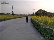 湖南省,株洲市,茶陵县,马江镇,浪滩村