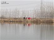 山东省,潍坊市,高密市,朝阳街道,单家荒村