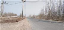 新疆,喀什地区,伽师县,古勒鲁克乡,阿亚克库克塔勒村