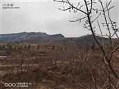 山东省,烟台市,招远市,梦芝街道,增甲沟村