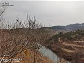 山东省,烟台市,招远市,梦芝街道,增甲沟村