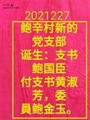 河北省,衡水市,武邑县,韩庄镇,鲍辛村