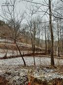 甘肃省,陇南市,成县,沙坝镇,桦树村