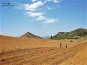 达峪沟村 没有大块平整的土地，采用的还是传统的农业工作方式。