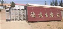 内蒙古,鄂尔多斯市,杭锦旗,呼和木独镇,巴拉亥村