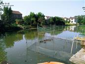 马渡村 社会主义新农村，有了河段长，被污染的河水变清了，家门口的鸭子在水中嬉戏。