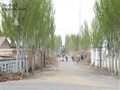 内蒙古,巴彦淖尔市,临河区,临河农场,十分场村
