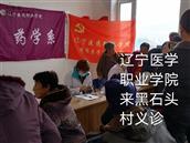 辽宁省,抚顺市,清原县,南山城镇,黑石头村