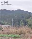 四川省,南充市,仪陇县,大寅镇,柳林村