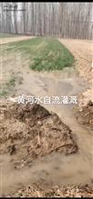 山东省,滨州市,惠民县,麻店镇,刘家桥村