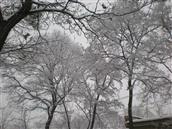 金星村 2008年的第一场雪