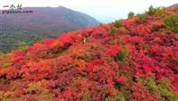 山西省,晋中市,昔阳县,孔氏乡,里沙瑶村