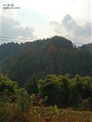 四川省,南充市,仪陇县,来仪乡,旱田村