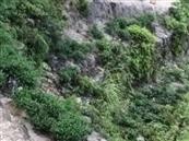 四川省,南充市,仪陇县,大寅镇,柳林村