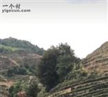 四川省,南充市,仪陇县,大寅镇,柳林村