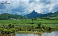 山西省,大同市,阳高县,鳌石乡,乱石村