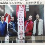 浙江省,杭州市,临安区,昌化镇,朱白村