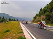 四川省,南充市,仪陇县,大寅镇,柳林村