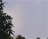 四川省,南充市,仪陇县,大寅镇,柳林村