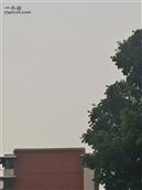 四川省,南充市,仪陇县,大寅镇,柳林村