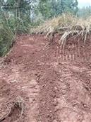 四川省,南充市,仪陇县,大寅镇,柳林村