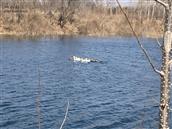 山东省,潍坊市,高密市,朝阳街道,李家疃村