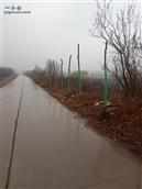 谭家寨村 这条路直通泥浴河。
