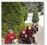 山西省,运城市,盐湖区,金井乡,大井村