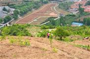 山东省,淄博市,淄川区,太河镇,下端士村