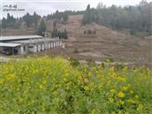 湖南省,郴州市,桂阳县,四里镇,芙塘村