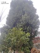 湖南省,郴州市,桂阳县,四里镇,芙塘村