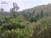 湖南省,郴州市,桂阳县,四里镇,芙塘村