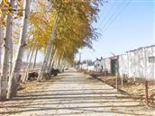 新疆,阿克苏地区,阿瓦提县,拜什艾日克镇,阿布迪尔曼村