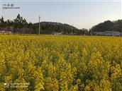 湖北省,随州市,曾都区,南郊街道,椅子山村