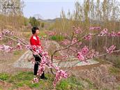 山东省,临沂市,沂水县,崔家峪镇,胡同峪村