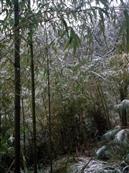 梁峰村 冬天雪景
