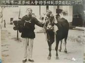 雪白庄村 一九五零年汲县第一次劳模大会，我村劳动模范王国云，获奖大黄牛一头