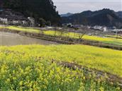 贵州省,黔东南州,榕江县,寨蒿镇,扒王村