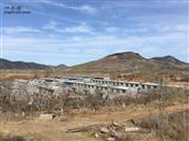 河北省,唐山市,丰润区,火石营镇,赵庄子村