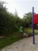 安徽省,阜阳市,太和县,城关镇,桥西社区