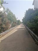 安徽省,亳州市,利辛县,程家集镇,汪庄户村