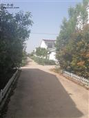 安徽省,亳州市,利辛县,程家集镇,汪庄户村