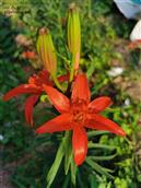 山东省,烟台市,招远市,梦芝街道,增甲沟村