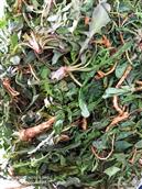 山东省,烟台市,招远市,夏甸镇,东宅科村