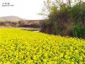 河北省,石家庄市,赞皇县,赞皇镇,北沟村