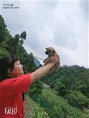 湖北省,恩施州,宣恩县,晓关乡,猫山村