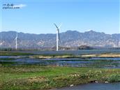 山西省,大同市,阳高县,鳌石乡,乱石村