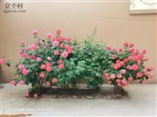 河北省,保定市,涿州市,刁窝乡,南尧村